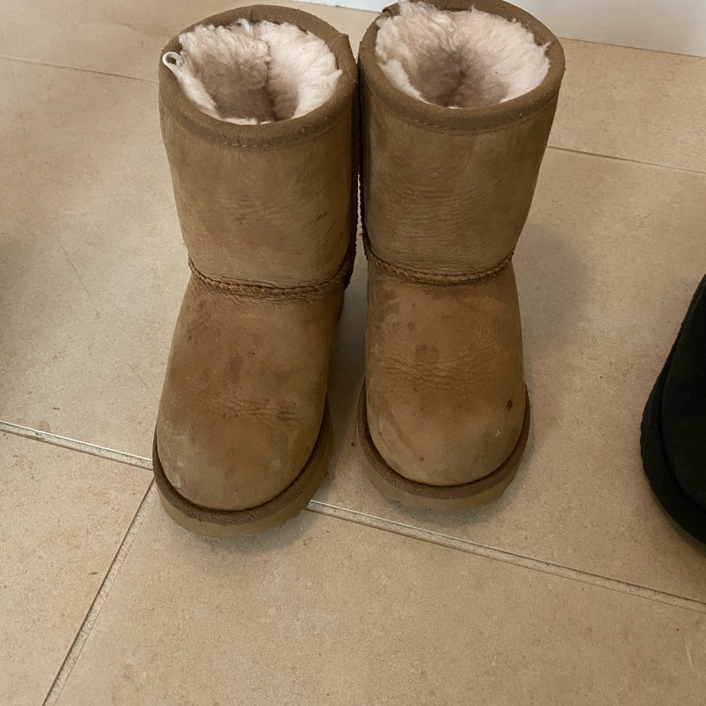 Toddler camel Uggs